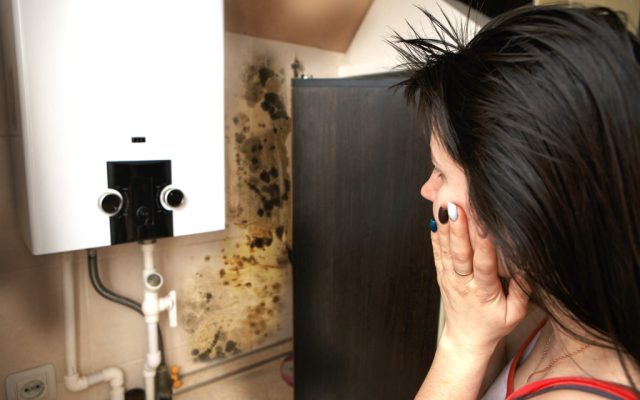 A Woman Looks At Mould On Her Kitchen Wall After Her Landlord Does Not Reply To An Improvement Notice